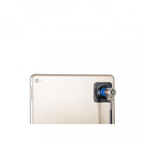 Kit de securite avec cable verrouillage a cle - coques aXtion Bold